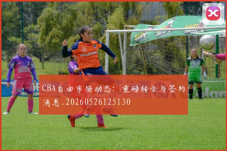 CBA自由市场动态:重磅转会与签约消息_20260526125130